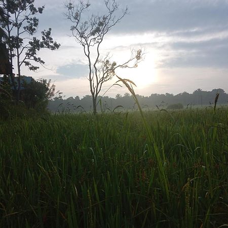 Sigiriya Paddy Field Hut Quarto foto
