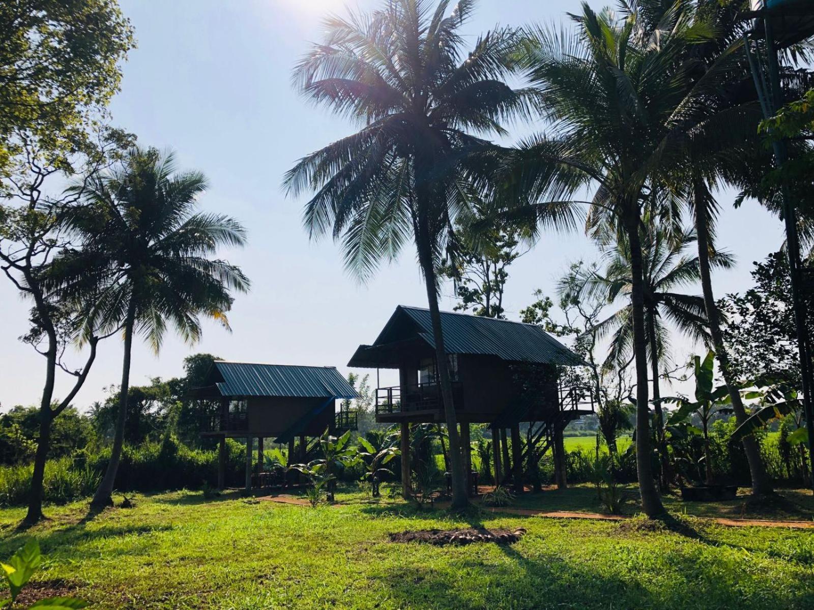 Sigiriya Paddy Field Hut Quarto foto